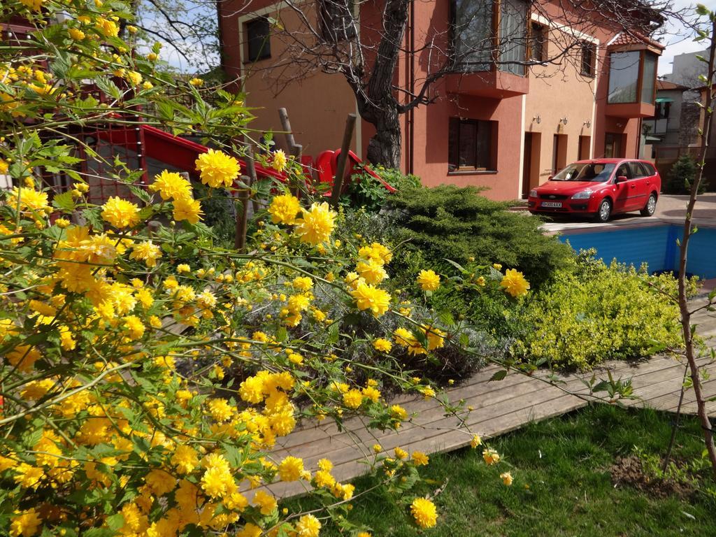Zorba Guest house 3*