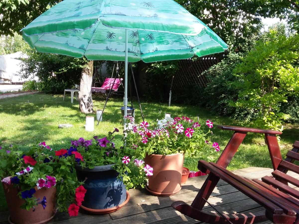 Guest house Zorba Bucharest
