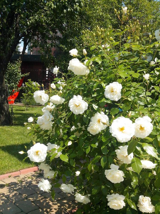 Zorba Guest house 3*